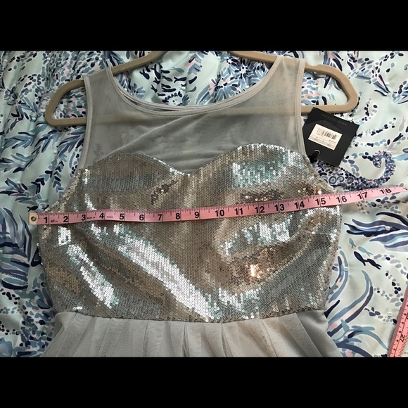 BB Dakota Silver Grey Sequins Mesh Dress - Picture 11 of 16